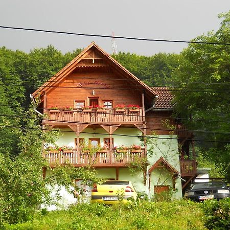 Vila Anna Sovata Zewnętrze zdjęcie