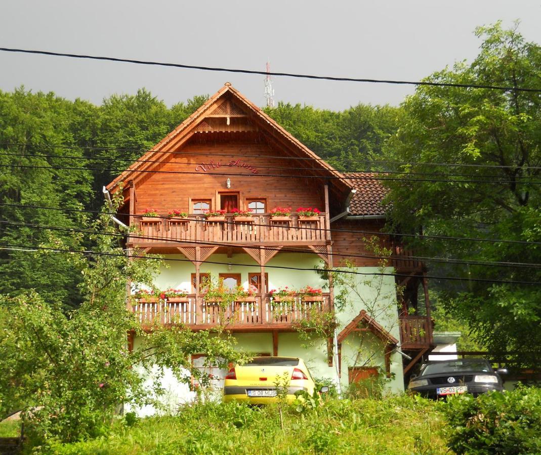 Vila Anna Sovata Zewnętrze zdjęcie