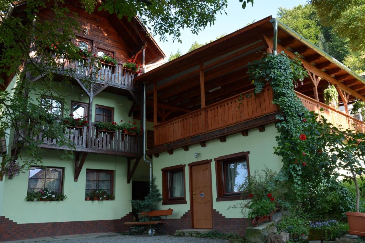 Vila Anna Sovata Zewnętrze zdjęcie
